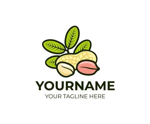 Peanuts plant and kernels of nuts with leaves, logo design Stock Illustration