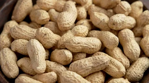 Peanuts pods in shell. Full rustic bowl of nutritious ingredient Video stock 268261216