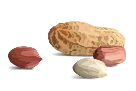 Peanuts in realistic style, organic snack close up vector illustration Stock Illustration