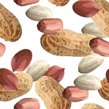 Peanuts in realistic style, organic snack close up vector illustration Stock Illustration