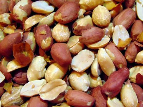 Peanuts in red shell - and fried Photos