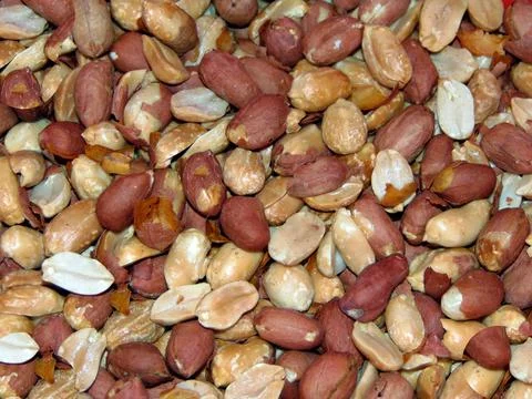 Peanuts in red shell - and fried Фото