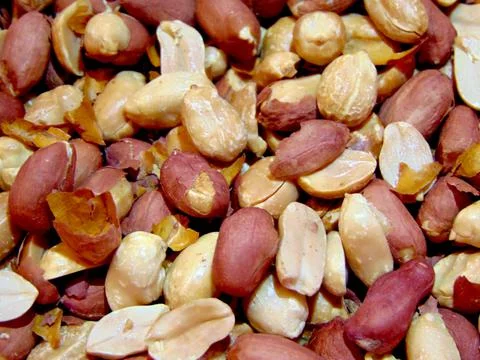Peanuts in red shell - and fried Photos