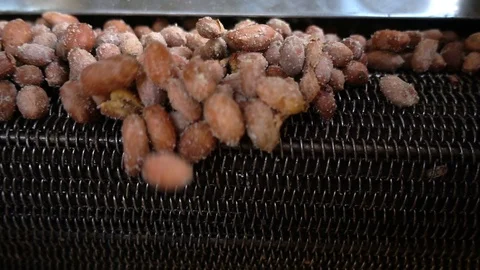 Peanuts roasting machine Stock Footage 104899434