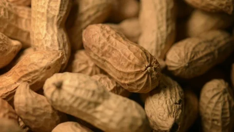 Peanuts roataiting Stock Footage 104759486