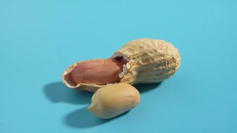 Peanuts rotate on a blue background. Stock Footage 299991919