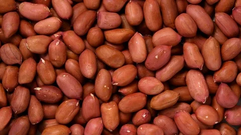 Peanuts rotating top view Stock Footage 115410686