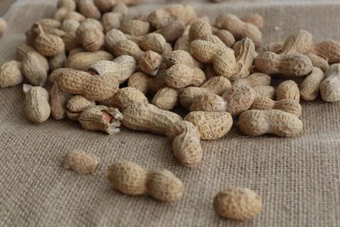 Peanuts on the sack Stock Photos