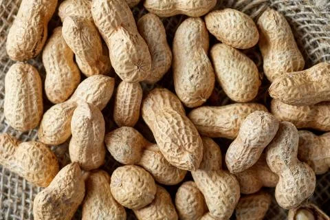 Peanuts on sackcloth background Stock Photos