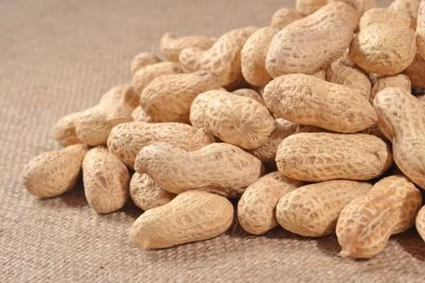 Peanuts in a sacking Stock Photos