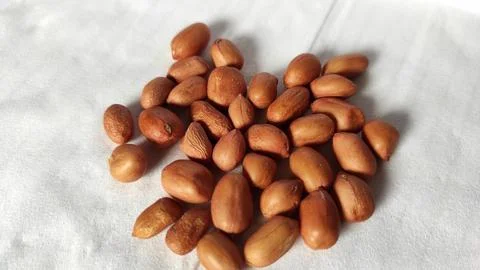Peanuts scattered over a white background Фото