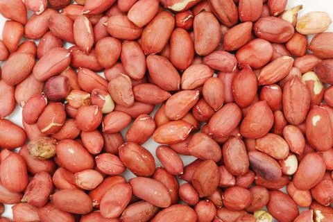 Peanuts scattered on a surface with a focus on their texture and shape Stock Photos