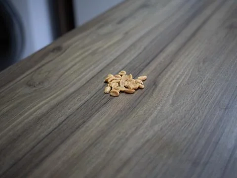 Peanuts scattered on wooden table surface Stock Photos