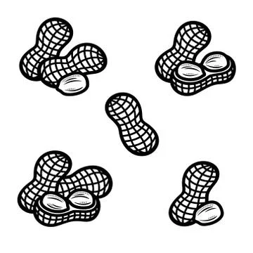 Peanuts set. Collection icon peanuts. Vector Stock Illustration