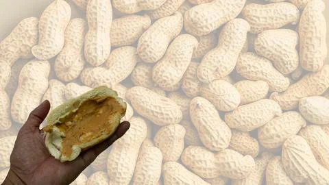 Peanuts in the shape of sweets, paoca, cornmeal cake and peanut butter on br- Stock Photos
