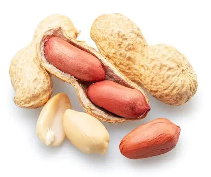 Peanuts in shell and peeled peanuts on white background Stock Photos