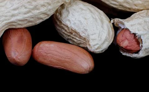 Peanuts in the shell and without it on a black background. Фото