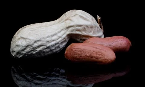 Peanuts in the shell and without it on a black background. Фото
