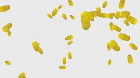 Peanuts in the shell are strewed on a white background Stock Footage 197464493