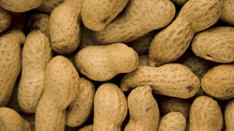 Peanuts in shell background rotates. Top view Video stock 142033840