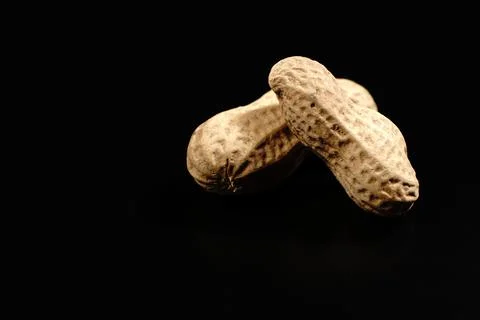 Peanuts in a shell on a black background. Stock Photos