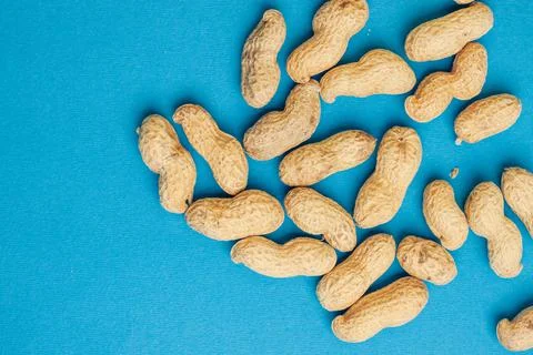 Peanuts in shell blue background close-up top view Stock Photos