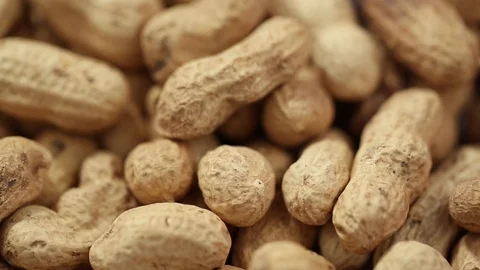 Peanuts in shell close-up Stock Footage 121765612