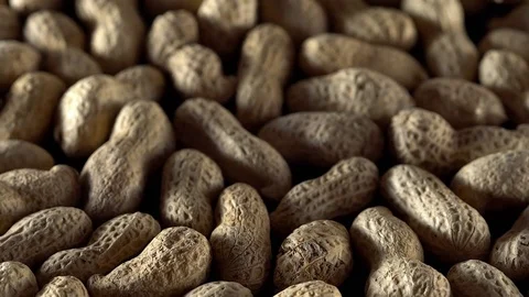 Peanuts in the shell Stock Footage 70224495