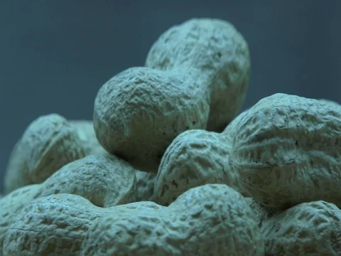 Peanuts with shell Stock Footage 80277380