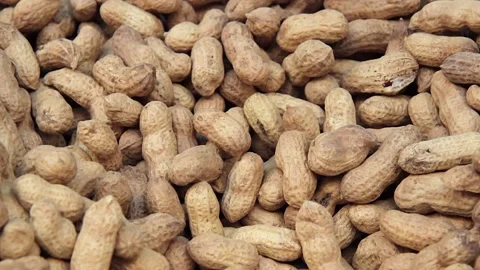 Peanuts in the shell Video stock 142676618