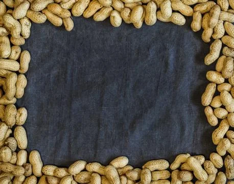 Peanuts in shell forming a frame Stock Photos