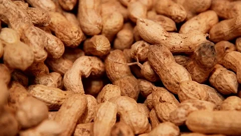 Peanuts in a shell in a grocery store Stock Footage 209145975