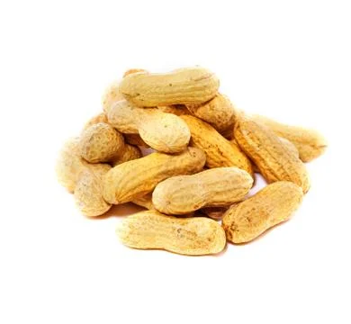 Peanuts in shell isolated on white background Stock Photos