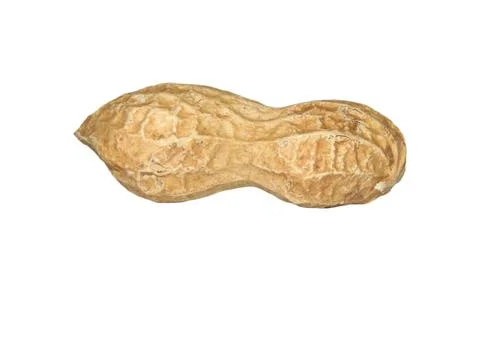 Peanuts in shell isolated on white background Stock Photos