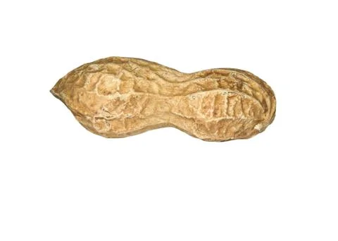 Peanuts in shell isolated on white background Stock Photos