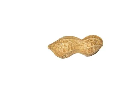 Peanuts in shell isolated on white background Photos