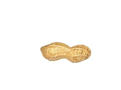 Peanuts in shell isolated on white background Photos