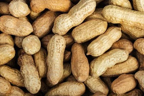 Peanuts in shell laying on surface. Stock Photos