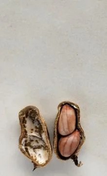 Peanuts in shell on a light background. Close-up. Foto stock