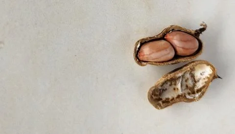 Peanuts in shell on a light background. Close-up. Stock Photos