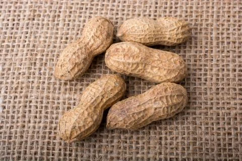 Peanuts with shell on a linen canvas background Stock Photos