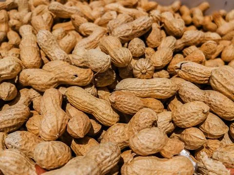Peanuts in Shell: Nutritional Benefits and Uses Foto stock