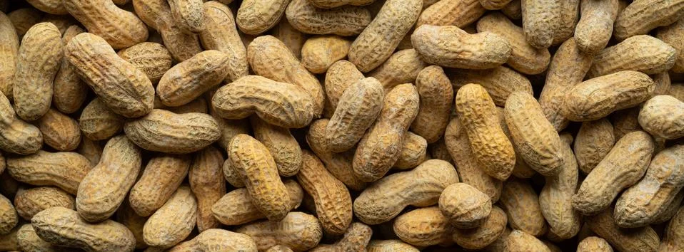 Peanuts In The Shell Panorama Stock Photos