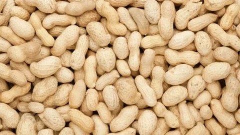 Peanuts in shell. Peanuts - background. Video stock 143190221