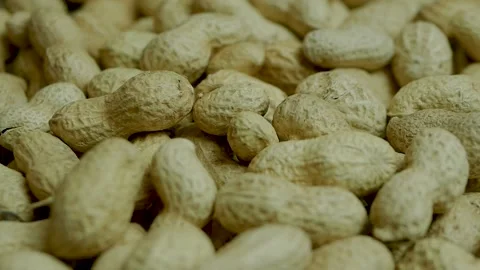 Peanuts in a shell in a peel, peanut beans close-up. Stock Footage 141324883