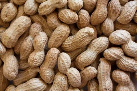 Peanuts in Shell Stock Photos