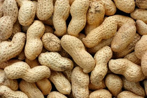 Peanuts in shell Stock Photos