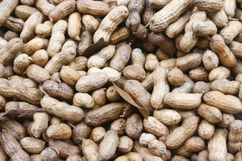 Peanuts in shell. Stock Photos