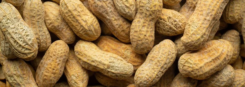 Peanuts in the Shell Stock Photos