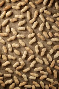 Peanuts with shell. Fotos de archivo